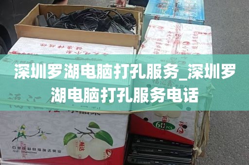 深圳罗湖电脑打孔服务_深圳罗湖电脑打孔服务电话