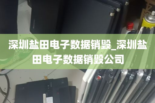 深圳盐田电子数据销毁_深圳盐田电子数据销毁公司