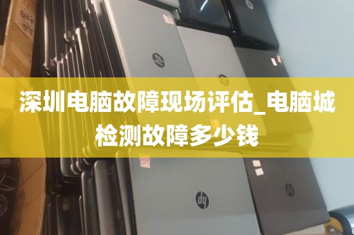 深圳电脑故障现场评估_电脑城检测故障多少钱