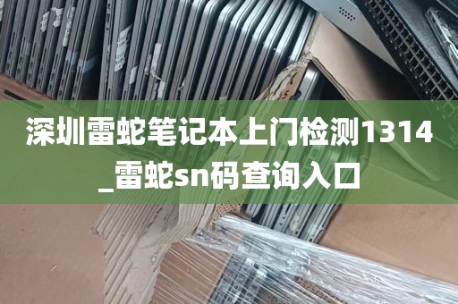 深圳雷蛇笔记本上门检测1314_雷蛇sn码查询入口