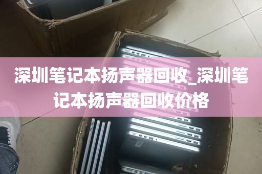深圳笔记本扬声器回收_深圳笔记本扬声器回收价格